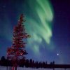 ČLÁNEK: Finský Lemmenjoki v zimě: divočina i wellness na 68. rovnoběžce