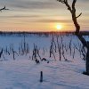 ČLÁNEK: Inari 2018: Alone in the Cold, aneb Sám(a) v ledu