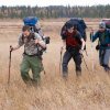 Urho Kekkonen 2013 - vandr podzimní finskou tajgou