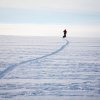 ČLÁNEK: Finské Laponsko v zimě: sobí stopou 