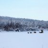 inari-unor2019-04dogsled