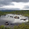 kungsleden2011-172_polarnikruh